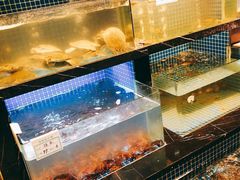 水产区-东门头·江鲜小馆(新天地店)