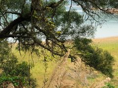 -杨厝六十六农庄农舍(杨厝路店)