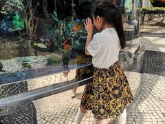 -歌帝梵(美高梅分店)
