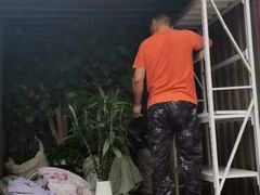 -上海蓝犀牛邦速搬家公司搬家
