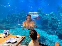 -海棠湾洲际-涛·海底餐厅·美人鱼·自助餐·海底隧道