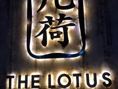 -几荷·恰似故人来(秀水广场店)