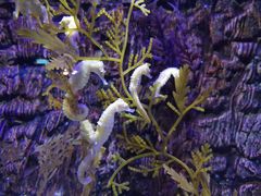 -石林冰雪海洋世界