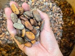 -歌斐颂巧克力小镇