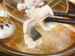 海鳗-濠轩阁特色生蚝火锅(水湾路店)
