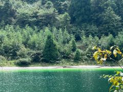 -武陵山森林公园