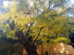-无锡惠山寺
