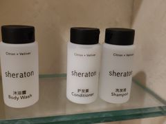 -常州武进九洲喜来登酒店