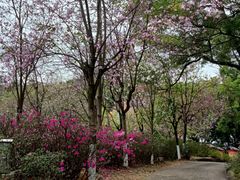 -广州莲花山旅游区