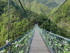 -遂昌金矿国家矿山公园