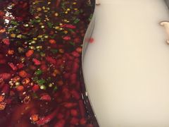 -新辣道鱼火锅(领展购物广场·中关村店)