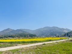 -黄陂区野村谷景区