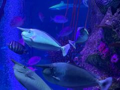 -沈阳海洋探索中心