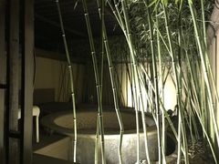 -春晖园度假酒店温泉