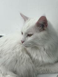 -允·여성헤어女发工作室