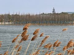 -滴水湖