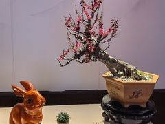 -颐和园