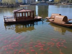 -西海子公园