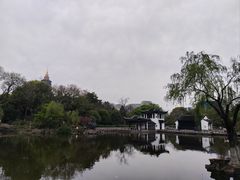 -红梅公园
