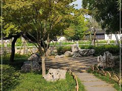 -枫桥景区