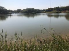 -福田红树林生态公园