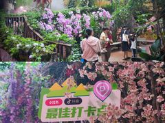 -正佳雨林生态植物园