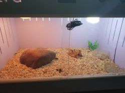 -椿树下·Tattoo纹身工作室