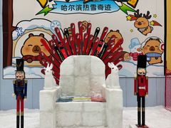 -哈尔滨热雪奇迹