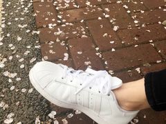 -西北湖绿化广场