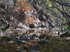 -牛背梁国家森林公园