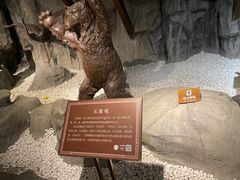 -茅山东方盐湖城景区