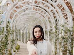 -大塘金香草谷
