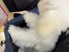 -天宠宠物医院24小时·急重症诊疗中心·全科·腔镜特色(和平分院)