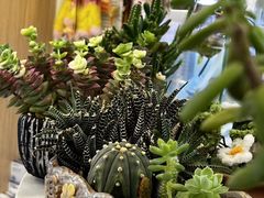 -瑞派·关忠动物医院·猫专科·犬专科(三环新城店)