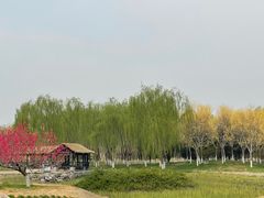 -张家湾公园
