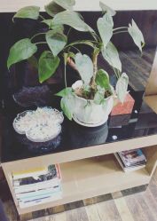 -雅梵伊容·护肤·造型
