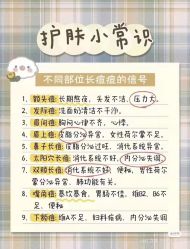 -凡碧诗毛孔清洁收细