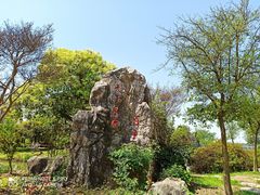 -鹅湖玫瑰文化园