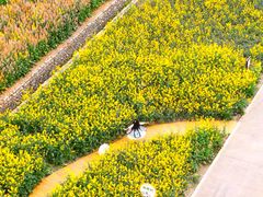 -中国天府农业博览园