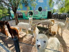 -鄂尔多斯野生动物园