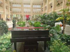 -曲江惠宾苑宾馆(大雁塔大唐不夜城店)