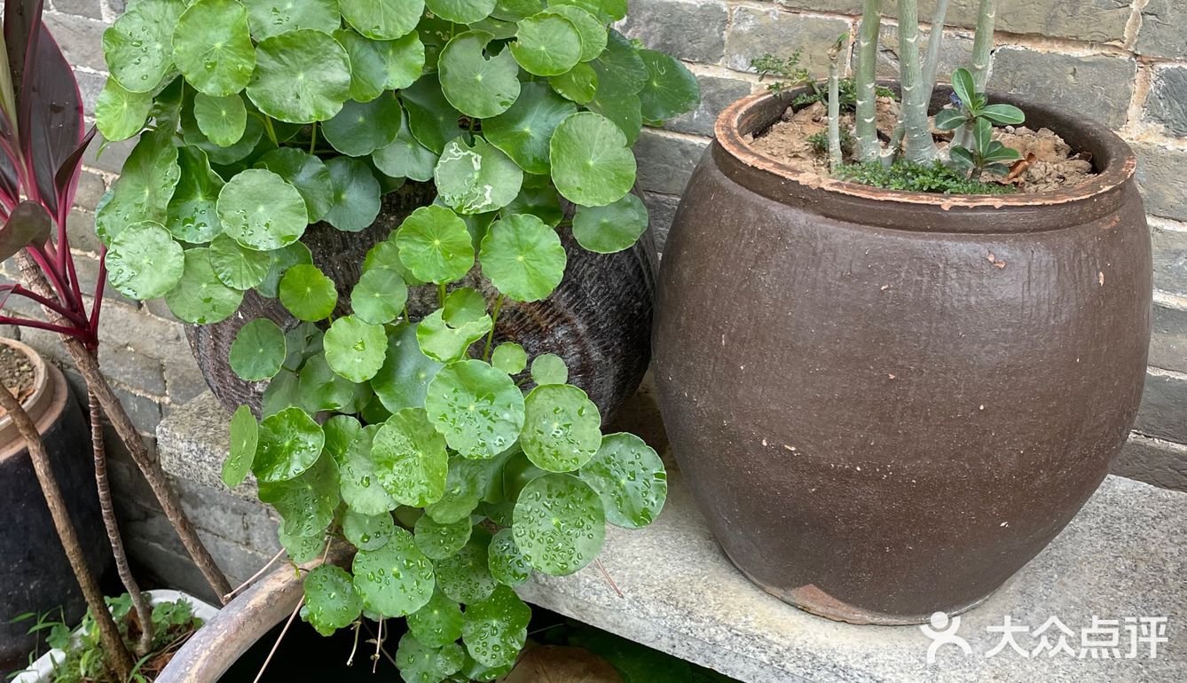 闹市取静的私房菜