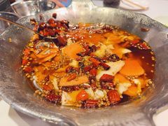 -沸腾鱼乡(知春路分店)