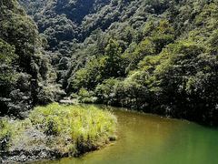 -龙湾潭国家森林公园