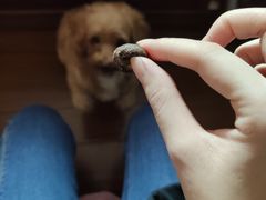 -嘿哟动霸CHUA·新潮玩运动娱乐中心·蹦床滑冰团建乐园