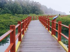 -北海金海湾红树林生态旅游区