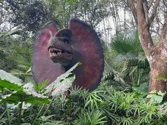 -海南热带野生动植物园