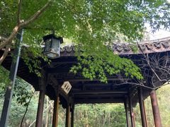 -杭州半山国家森林公园