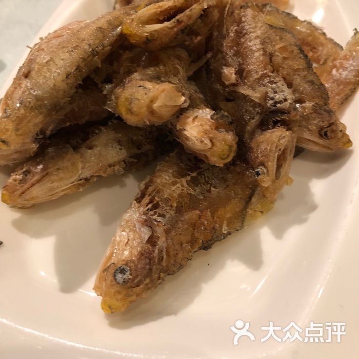 老上海8号经典上海菜图片-北京本帮菜-大众点评网