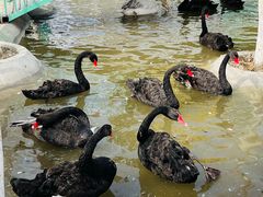 -水上乐园·欢乐世界